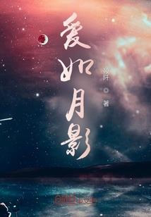 中级会计师直接报考吗