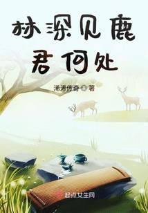 公务员考试会计岗难考吗