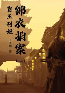 注册会计师实施分析