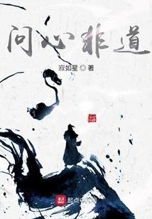威林财税