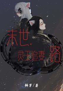 会计师的内容包括