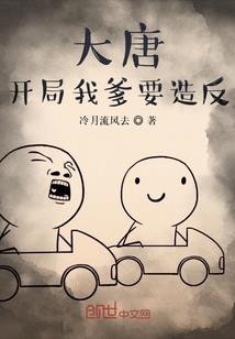 今年注册会计师考