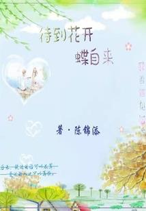 手机会计