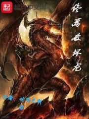 初级会计什么题重要