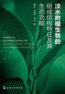 中级会计职称补助金