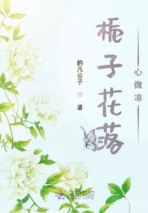 讲解会计分录的视频