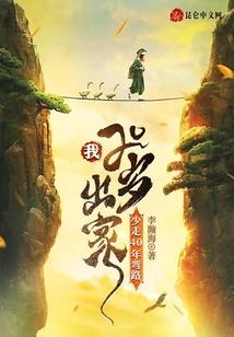 高级会计师案例1.7