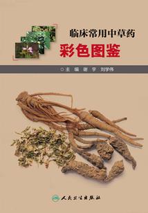 财税外账好做吗