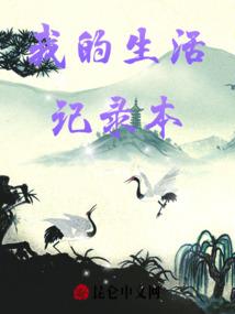 柠檬云财税可以查账吗