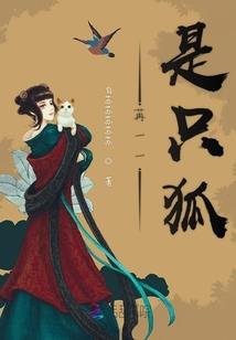 管理会计的基本职能包括哪些