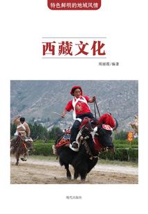 初学会计师的视频