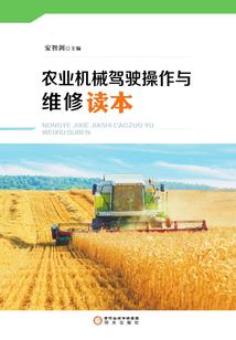杨光会计师