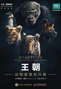 财税资询待遇