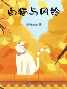 广东金普财税