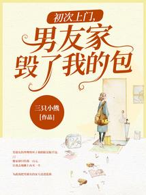 尼德会计