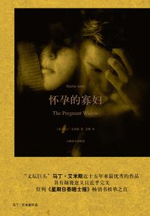 苏亚精诚会计师