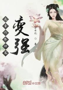 公司用led做会计分录