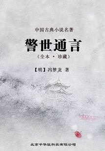 高峰论坛财政发展