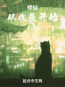 高级会计师成绩证书
