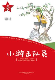 东奥座椅套