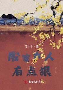 财政审计书