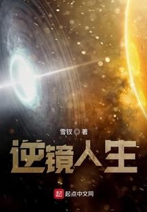 自贡市贡井区财政报告