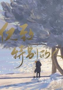 会计师进入采购网专家