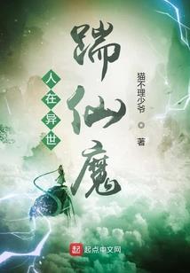 高级会计师培训网校