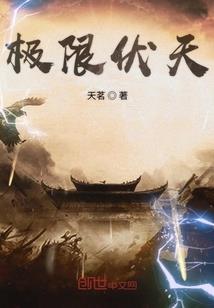 会计内部控制重要缺陷有