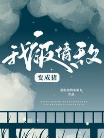 镇海财税公司