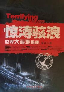 中级会计师专业技术总结