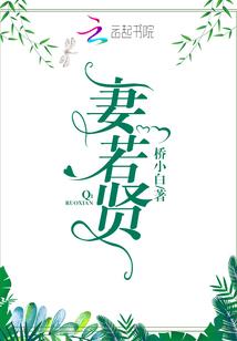 赵亮财政