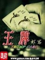 会计分录记载于中
