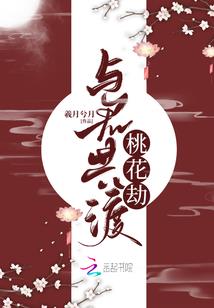 初级会计师试题怎样