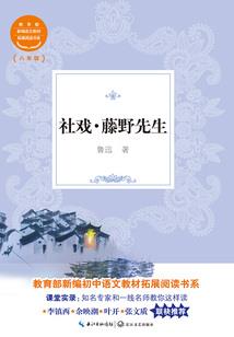 早期的国际注册会计师