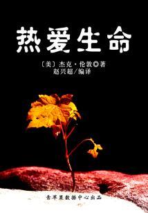 华安县财政局陈文良简介