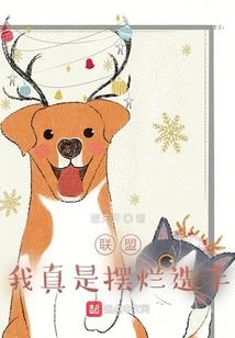 湖南会计专硕学校排名