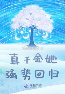 会计电算化属于什么专业类别