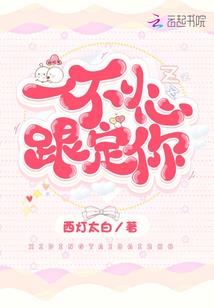 物流公司挂靠会计分录