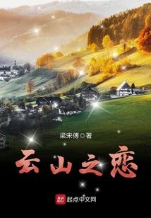 财税公司绿植