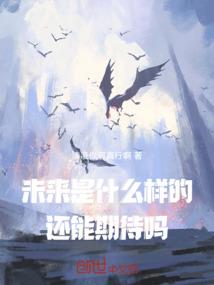 分红会计分录摘要