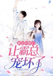 高级会计师证书是