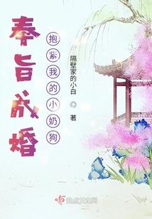 初级会计基本实务视频