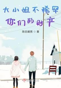 冒充会计师诈骗1000
