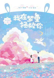 财政安全ppt