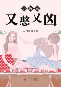 CPA综合用书