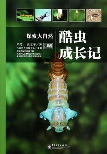 cpa备考怎样入手