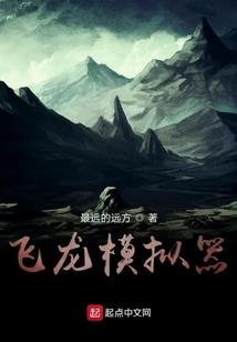 美国移民会计分录