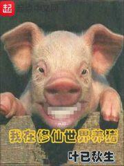 颍上会计师培训招生