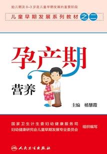 会计师是审计人员吗